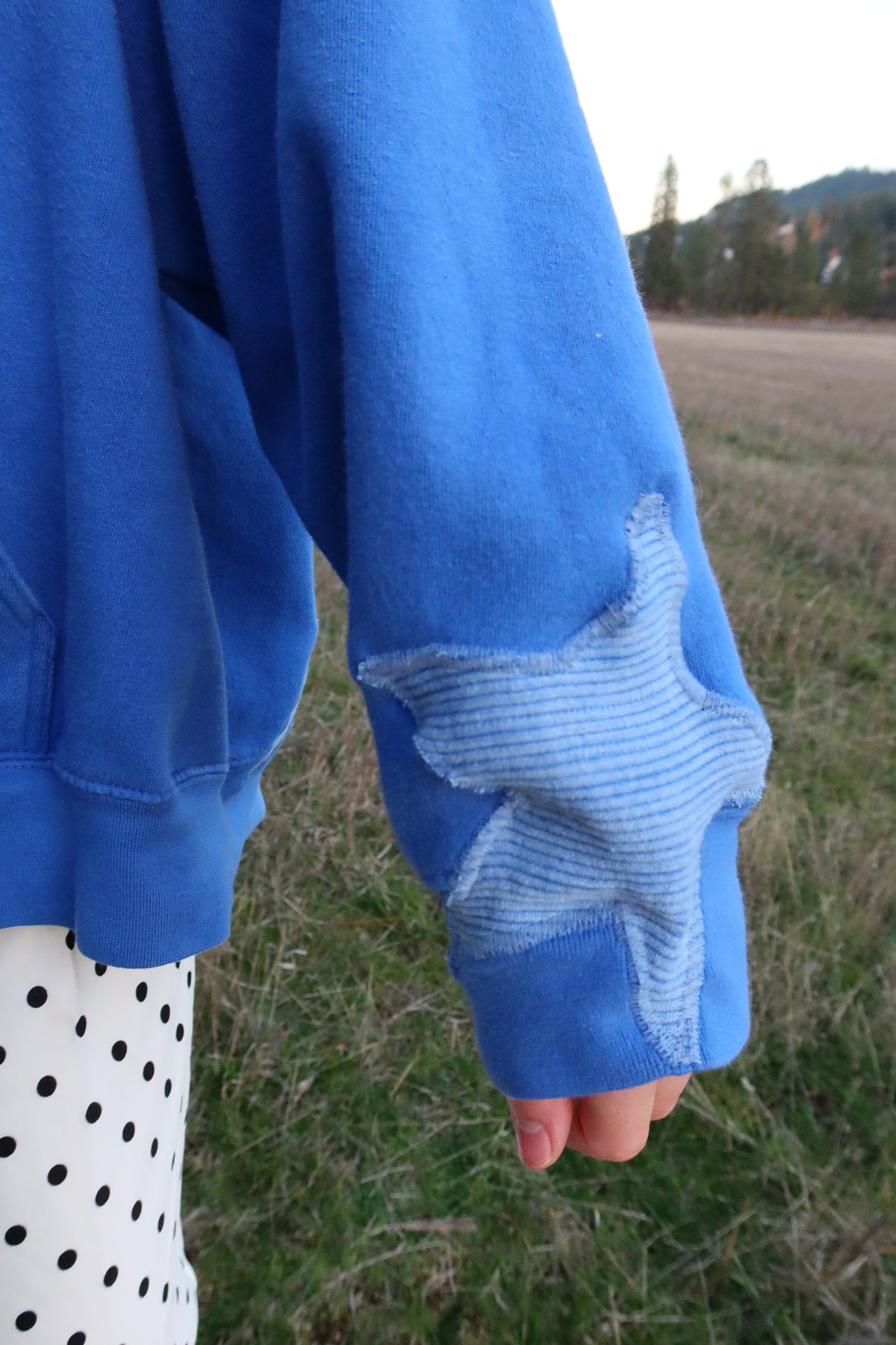 Royal Hoodie