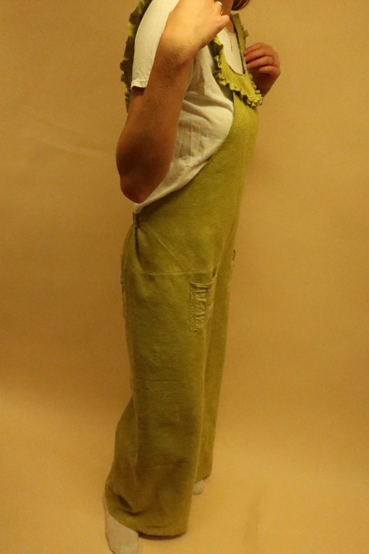Wind in the Willows Overalls