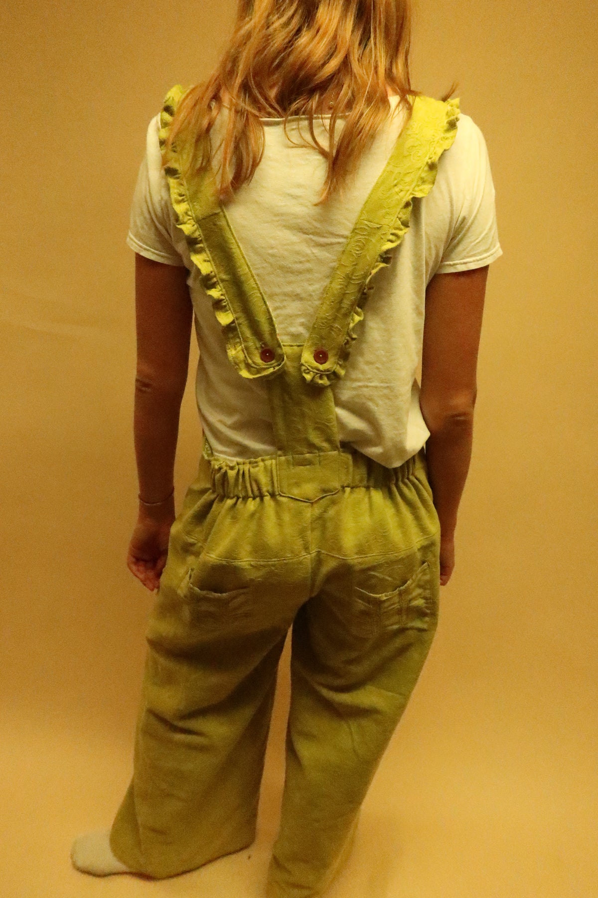 Wind in the Willows Overalls