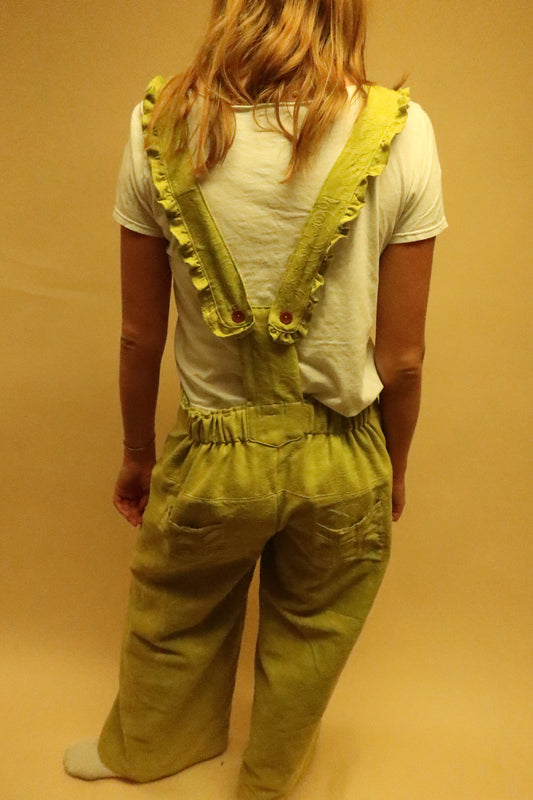 Wind in the Willows Overalls