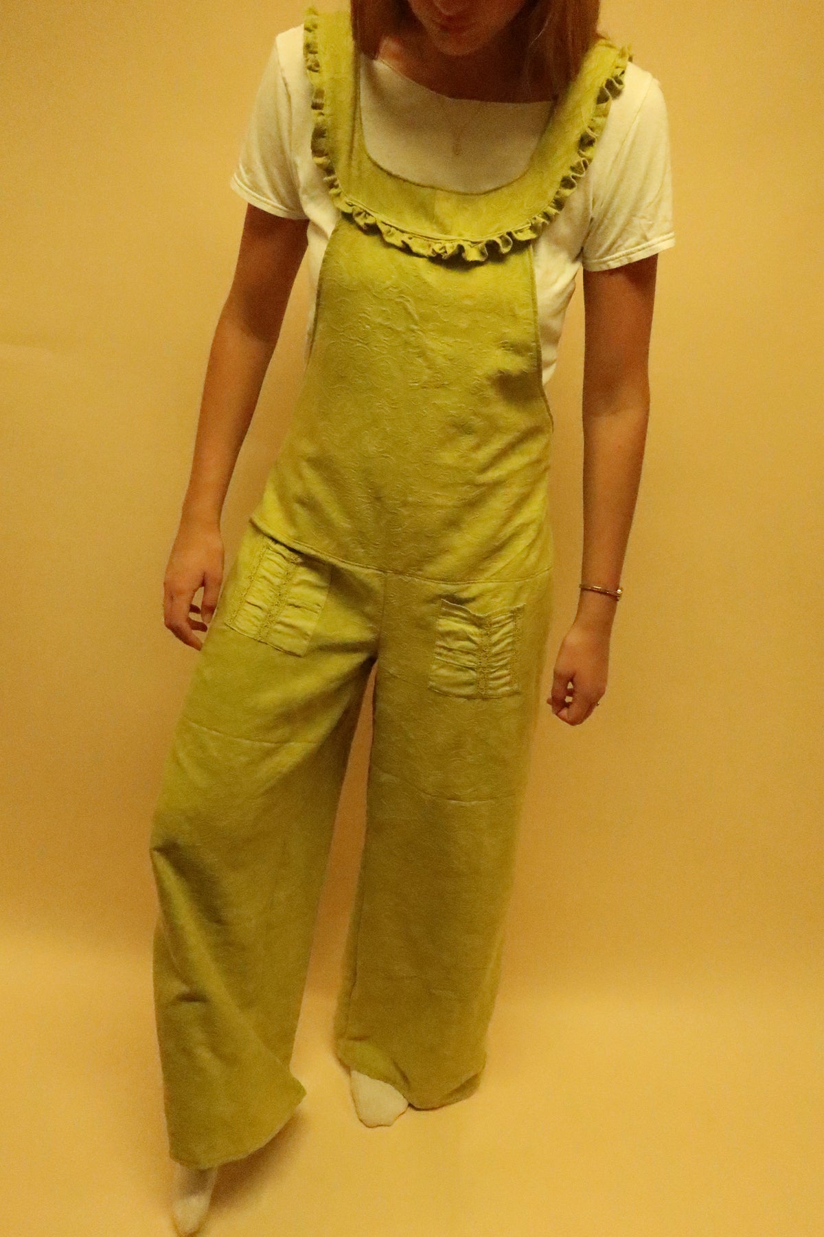 Wind in the Willows Overalls