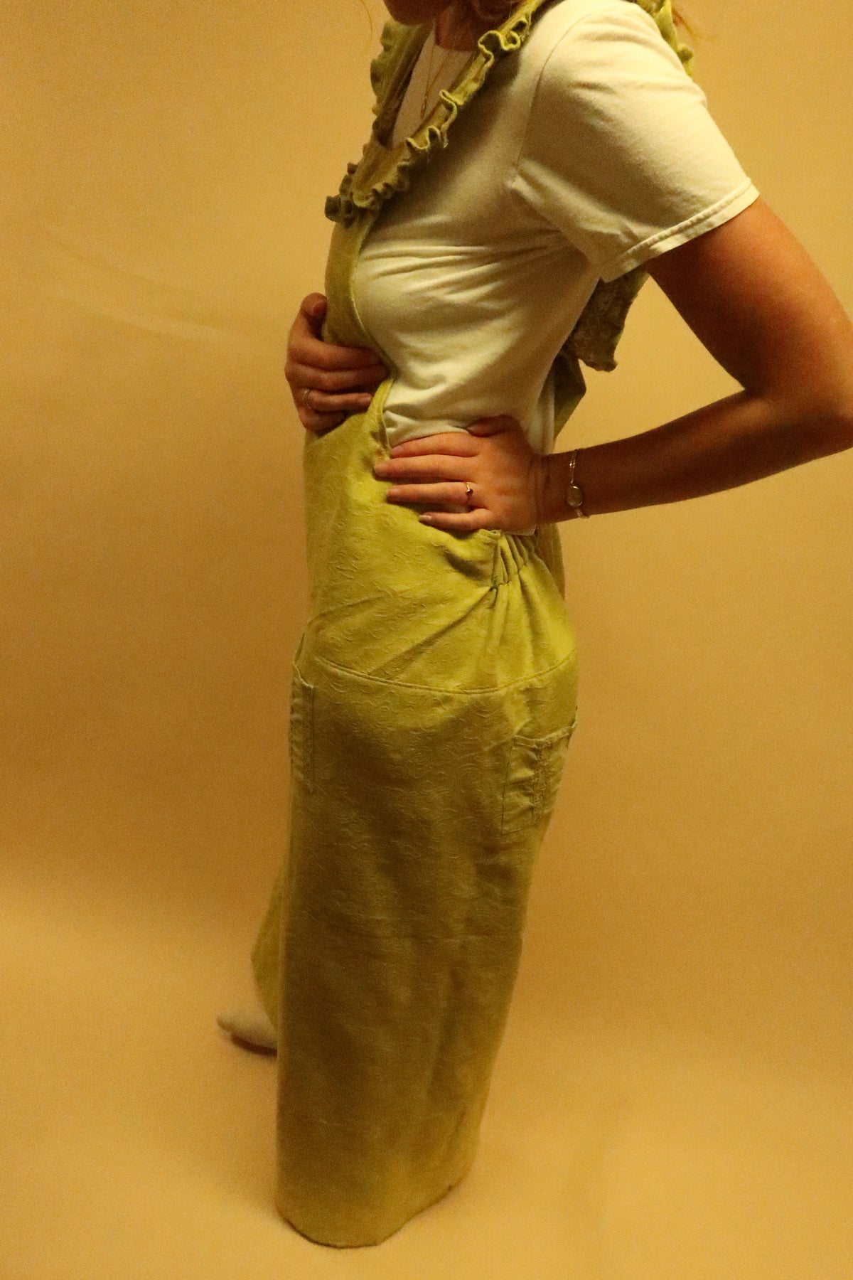 Wind in the Willows Overalls