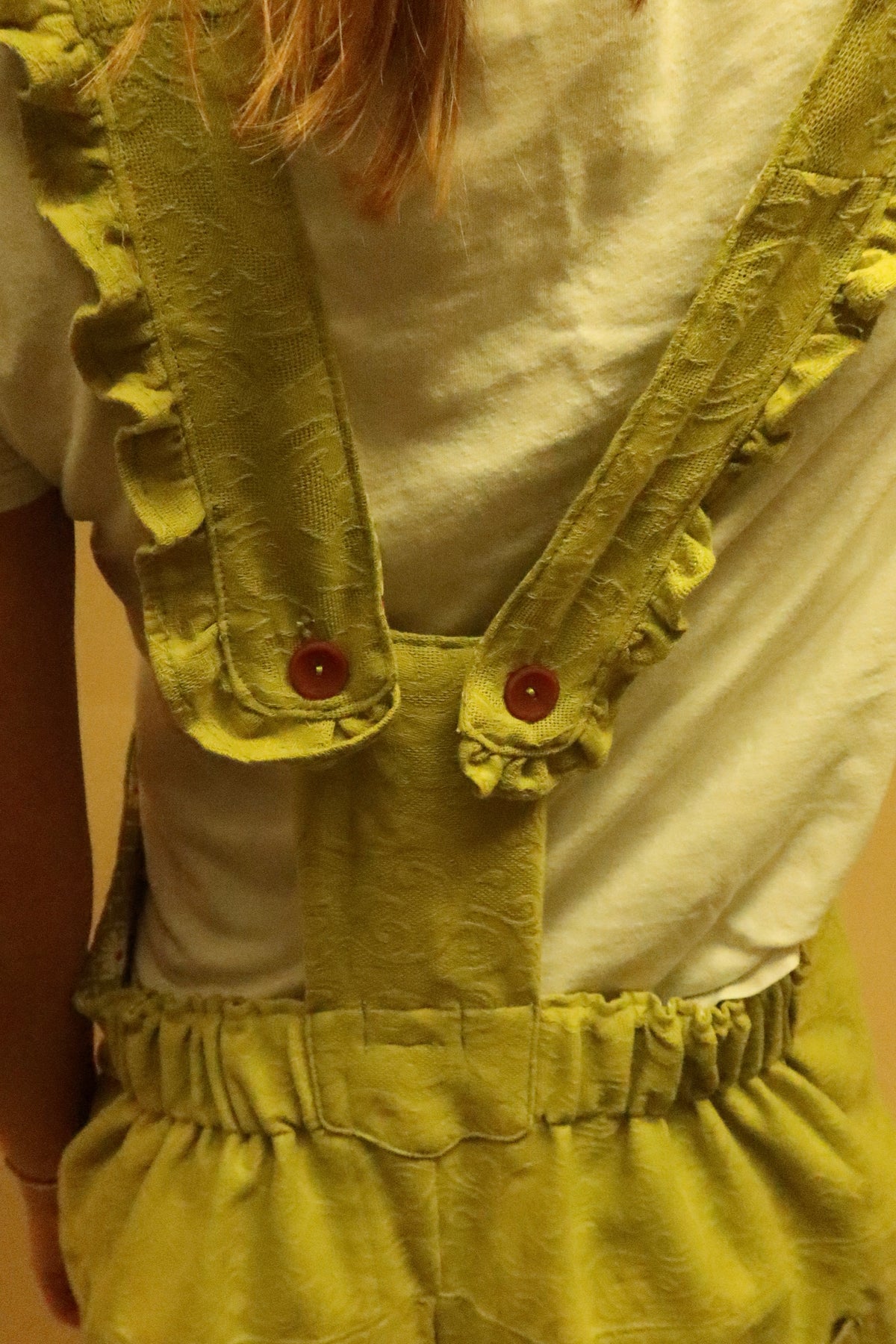 Wind in the Willows Overalls