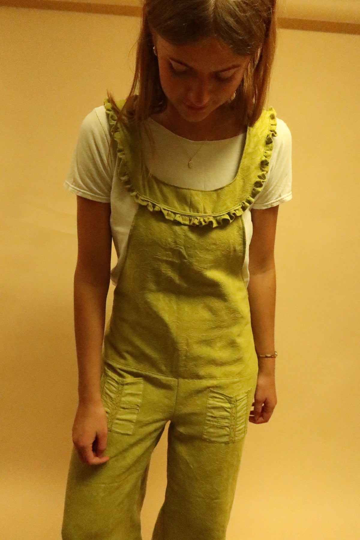 Wind in the Willows Overalls